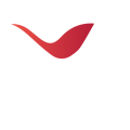 Voxify Digital