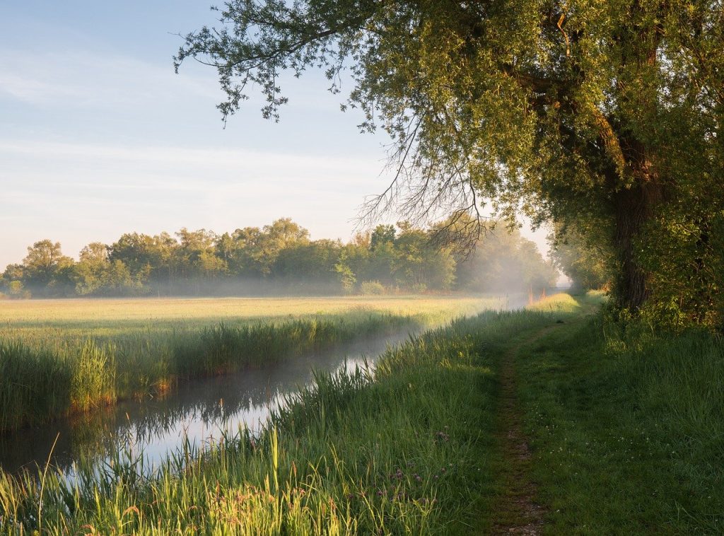 nature, landscape, canal-8783202.jpg